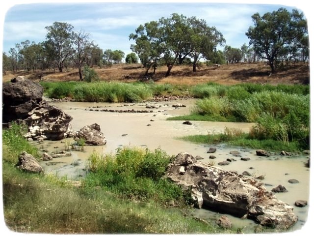 rocks1